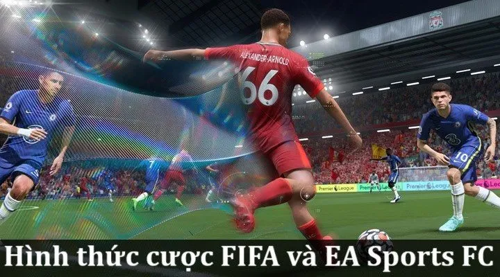 Tổng hợp hình thức cược FIFA và EA Sports FC