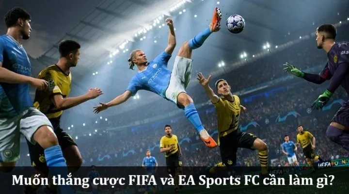 Tổng hợp hình thức cược FIFA và EA Sports FC